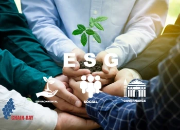 Announcing Our ISO 9001 Certification and Excellent Results in the SGS Social  Responsibility Audit